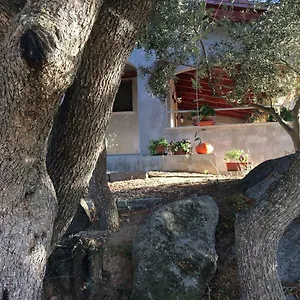  Ferienhaus S'umbra De S'ozzastru Italien